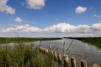 58c29d1289f43-camargue20130142-900x598