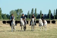 58c29d12e2fbb-visite-manade-02-900x600