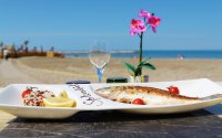 1463491511573b1bb7a650fsplendid-hotel-restaurant-01