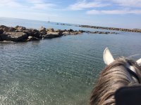 14673721125776525000e9dpromenade-cheval-01