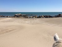 146737211257765250ec729promenade-cheval-02