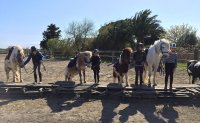 146737213057765262d83c9stages-enfants-01