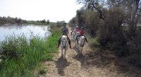 5a3797c6b21d0-balade-cheval-02
