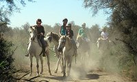 5a54da6ff3a99-balade-a-cheval1