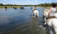 5a54db9e1535f-balade-a-cheval3
