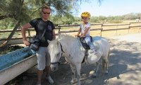 5a54dbc02ae1d-poney