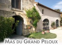 1380808483-pelouxext