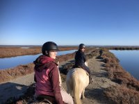 Nos conseils pour une balade à cheval réussie en Camargue Nos conseils pour une balade à cheval réussie en Camargue