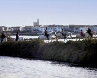 Nos conseils pour une balade à cheval réussie en Camargue Nos conseils pour une balade à cheval réussie en Camargue