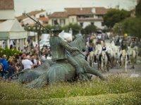 Plongez dans l’âme sauvage du sud en découvrant les manades Plongez dans l’âme sauvage du sud en découvrant les manades