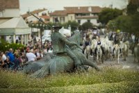Plongez dans l’âme sauvage du sud en découvrant les manades Plongez dans l’âme sauvage du sud en découvrant les manades