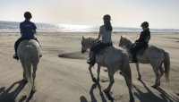 Nos conseils pour une balade à cheval réussie en Camargue Nos conseils pour une balade à cheval réussie en Camargue