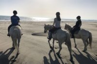Nos conseils pour une balade à cheval réussie en Camargue