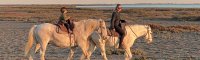 Nos conseils pour une balade à cheval réussie en Camargue Nos conseils pour une balade à cheval réussie en Camargue