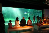 Seaquarium Institut Marin Seaquarium Institut Marin
