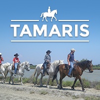 Les Tamaris