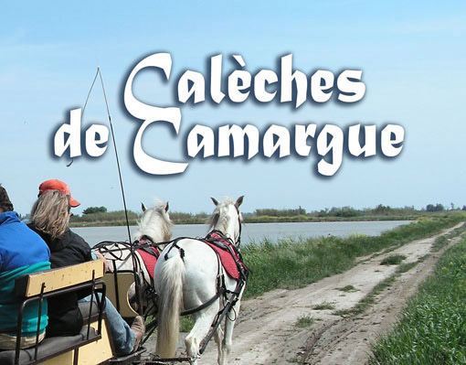 Calèches de Camargue