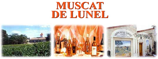 Les Vignerons du Muscat de Lunel