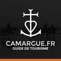 Webmaster Camargue.fr